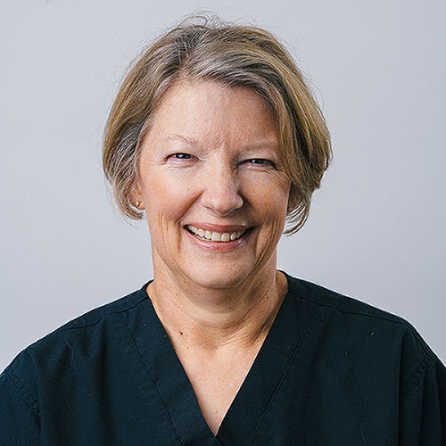 Lesley Robinson, R.D.H.